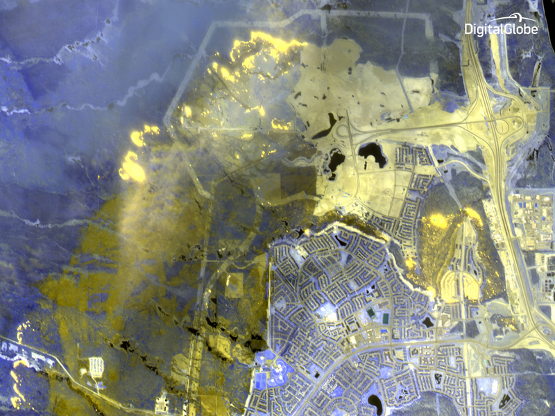 The WorldView-3 satellite captured this false-color image of Ft. McMurray during the fire. Yellow represents areas scorched by the fire, while purple areas represent healthy vegetation. The bright yellow spots are where the fires are actively burning. (Image: DigitalGlobe)